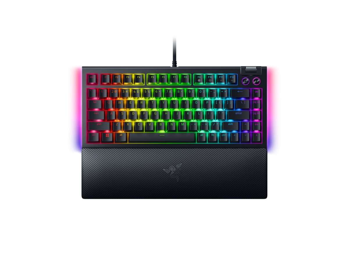 Razer BLACKWIDOW V4 75% - Mechanical RGB Gaming Keyboard - Hot-Swappable - Orange Tactile Switches  